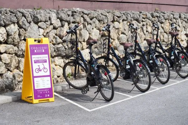 电动助力自行车