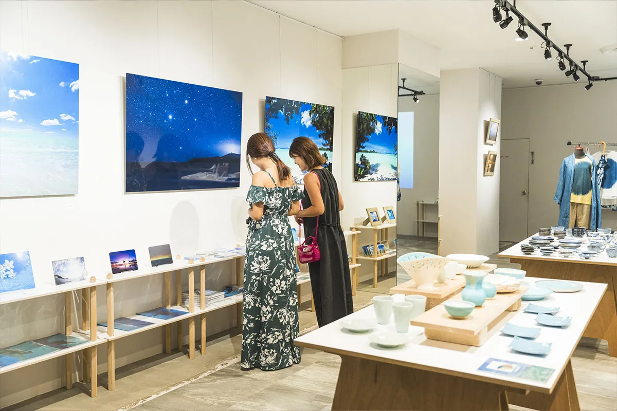 画廊企划展的介绍