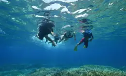 自选旅游指南